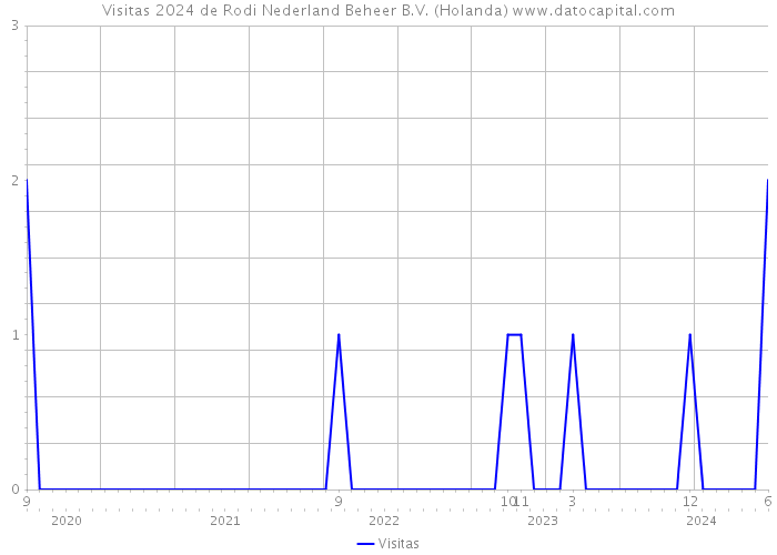 Visitas 2024 de Rodi Nederland Beheer B.V. (Holanda) 