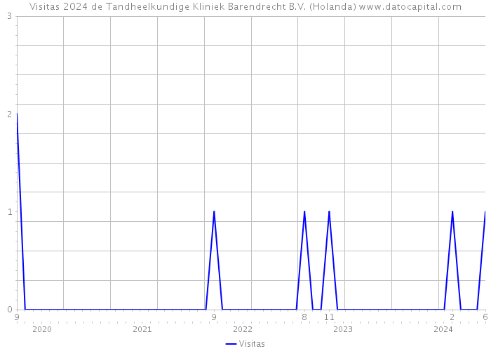 Visitas 2024 de Tandheelkundige Kliniek Barendrecht B.V. (Holanda) 