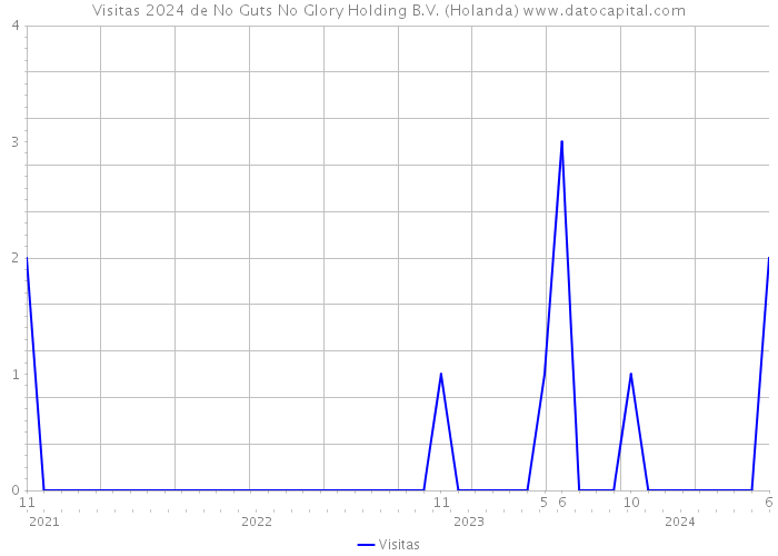 Visitas 2024 de No Guts No Glory Holding B.V. (Holanda) 