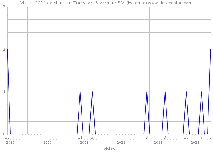 Visitas 2024 de Monsuur Transport & Verhuur B.V. (Holanda) 