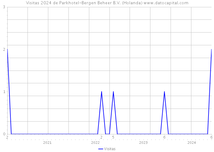 Visitas 2024 de Parkhotel-Bergen Beheer B.V. (Holanda) 