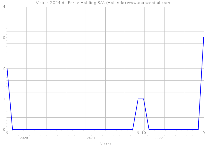 Visitas 2024 de Barite Holding B.V. (Holanda) 