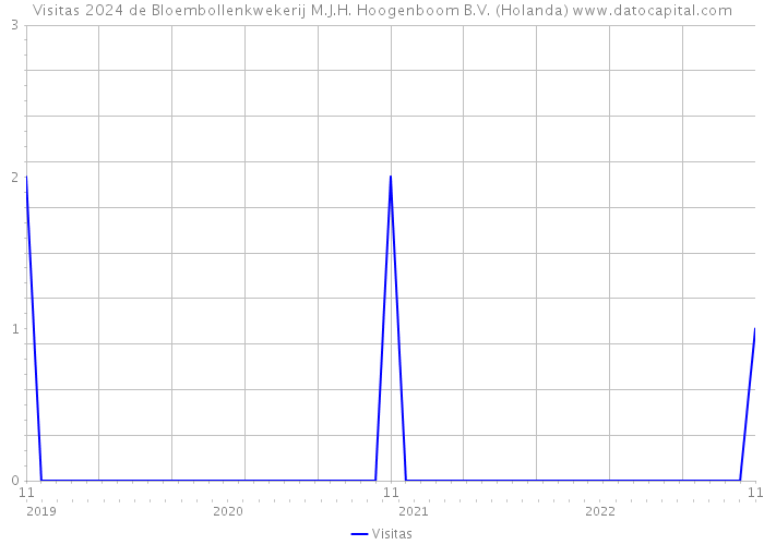 Visitas 2024 de Bloembollenkwekerij M.J.H. Hoogenboom B.V. (Holanda) 