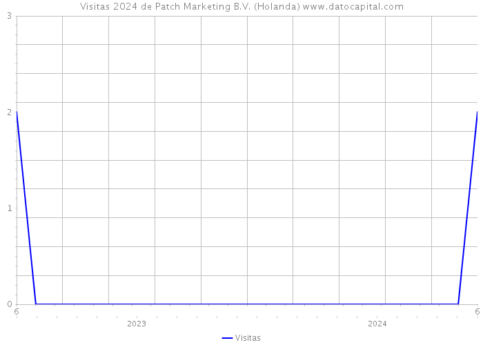 Visitas 2024 de Patch Marketing B.V. (Holanda) 