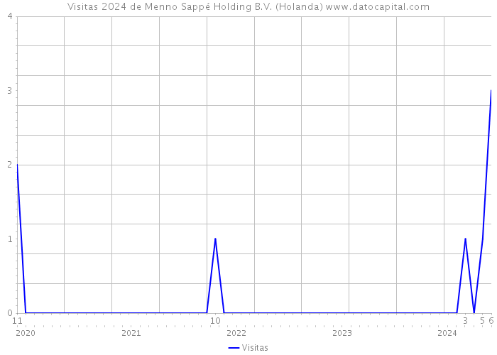 Visitas 2024 de Menno Sappé Holding B.V. (Holanda) 