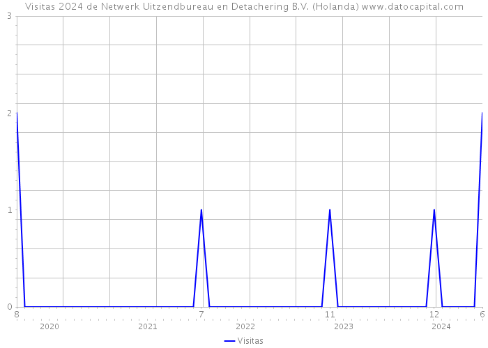 Visitas 2024 de Netwerk Uitzendbureau en Detachering B.V. (Holanda) 