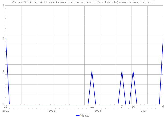 Visitas 2024 de L.A. Hokke Assurantie-Bemiddeling B.V. (Holanda) 