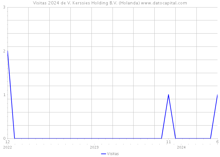 Visitas 2024 de V. Kerssies Holding B.V. (Holanda) 