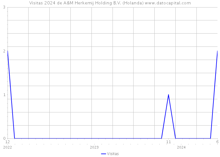 Visitas 2024 de A&M Herkemij Holding B.V. (Holanda) 