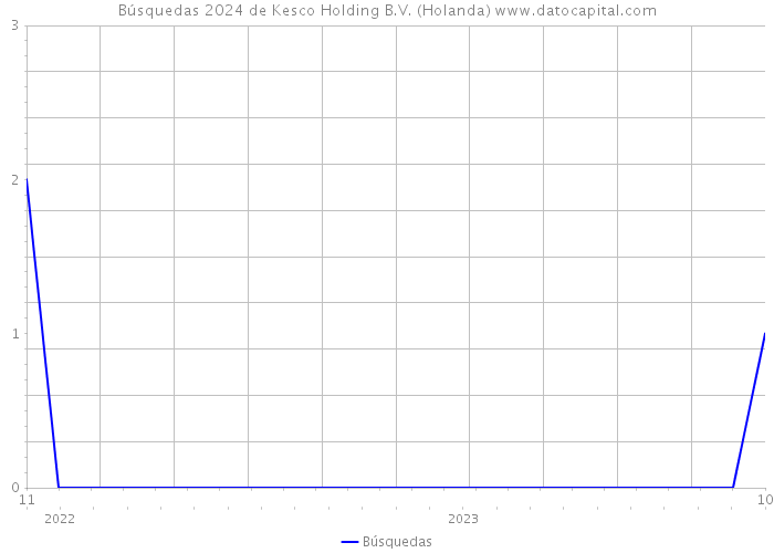 Búsquedas 2024 de Kesco Holding B.V. (Holanda) 