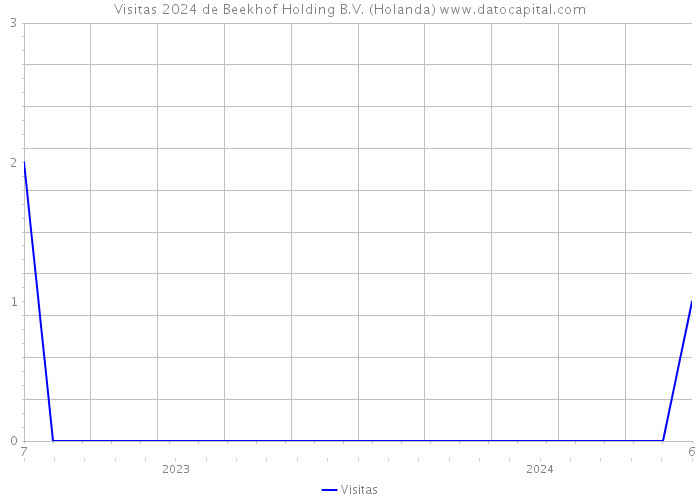 Visitas 2024 de Beekhof Holding B.V. (Holanda) 