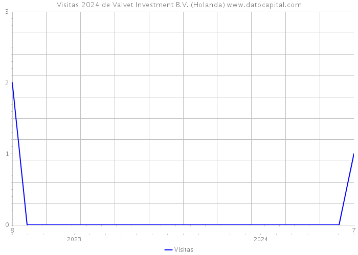 Visitas 2024 de Valvet Investment B.V. (Holanda) 