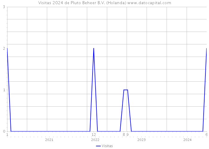 Visitas 2024 de Pluto Beheer B.V. (Holanda) 