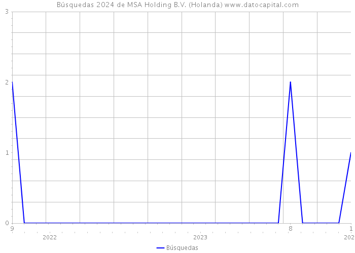 Búsquedas 2024 de MSA Holding B.V. (Holanda) 