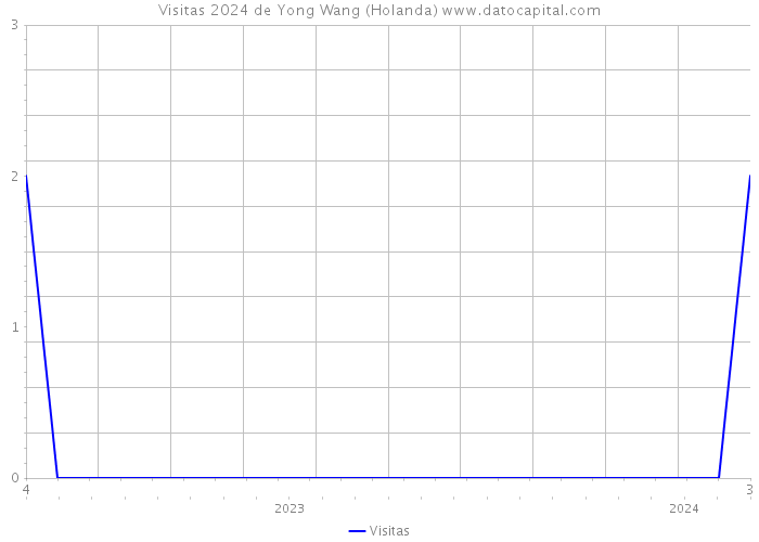 Visitas 2024 de Yong Wang (Holanda) 