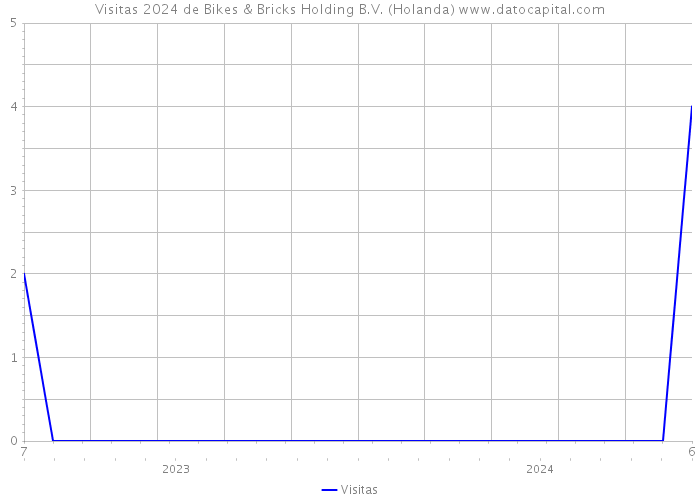 Visitas 2024 de Bikes & Bricks Holding B.V. (Holanda) 
