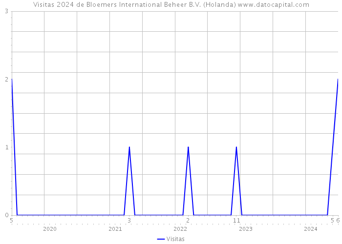 Visitas 2024 de Bloemers International Beheer B.V. (Holanda) 