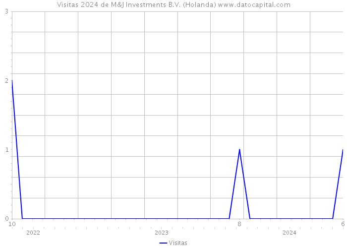 Visitas 2024 de M&J Investments B.V. (Holanda) 