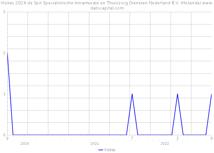 Visitas 2024 de Spit Specialistische Intramurale en Thuiszorg Diensten Nederland B.V. (Holanda) 