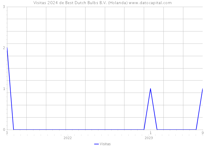 Visitas 2024 de Best Dutch Bulbs B.V. (Holanda) 