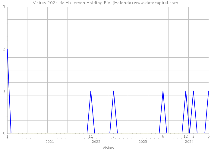 Visitas 2024 de Hulleman Holding B.V. (Holanda) 