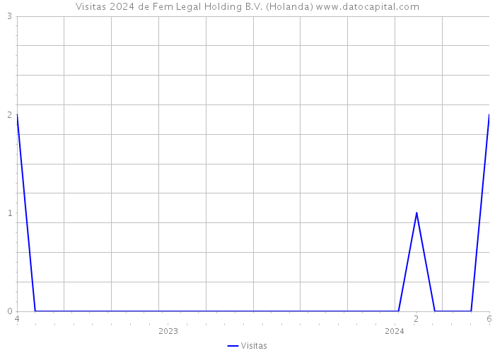 Visitas 2024 de Fem Legal Holding B.V. (Holanda) 