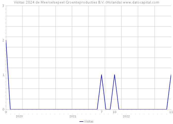 Visitas 2024 de Meerselsepeel Groenteproducties B.V. (Holanda) 