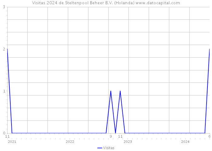 Visitas 2024 de Steltenpool Beheer B.V. (Holanda) 