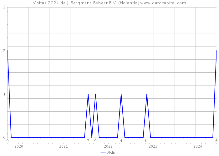 Visitas 2024 de J. Bergmans Beheer B.V. (Holanda) 