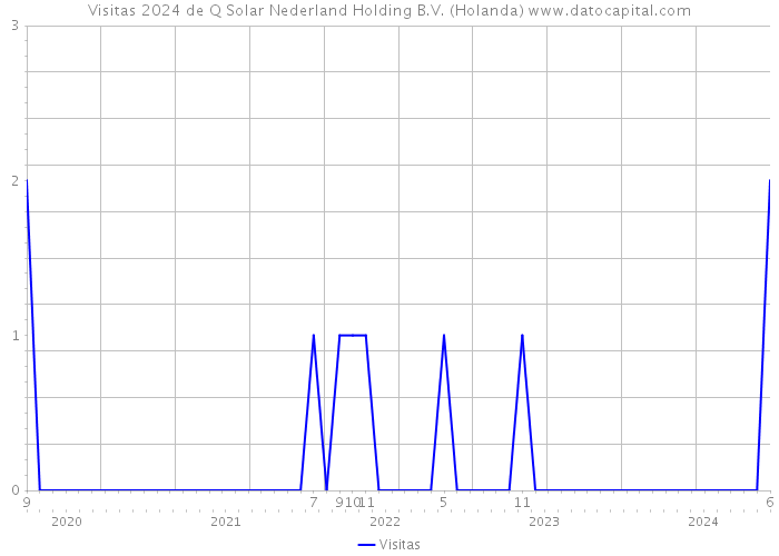 Visitas 2024 de Q Solar Nederland Holding B.V. (Holanda) 