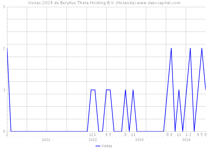 Visitas 2024 de Beryllus Theta Holding B.V. (Holanda) 