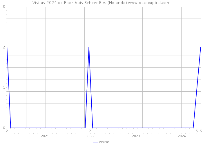 Visitas 2024 de Foorthuis Beheer B.V. (Holanda) 