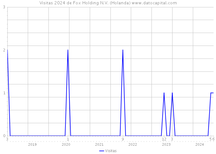 Visitas 2024 de Fox Holding N.V. (Holanda) 