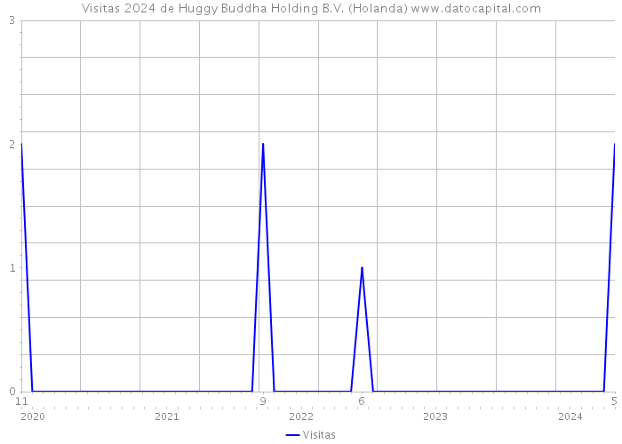Visitas 2024 de Huggy Buddha Holding B.V. (Holanda) 