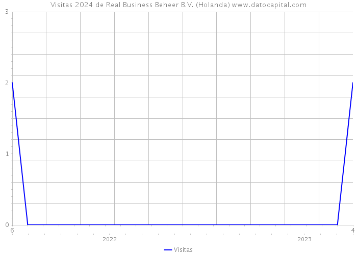 Visitas 2024 de Real Business Beheer B.V. (Holanda) 