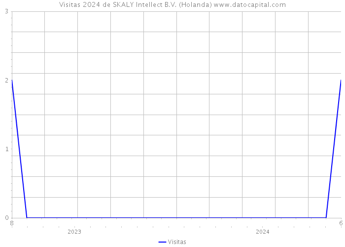 Visitas 2024 de SKALY Intellect B.V. (Holanda) 