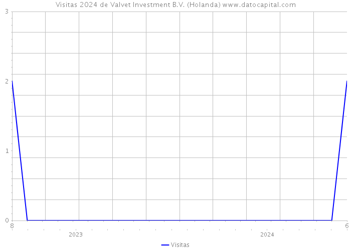 Visitas 2024 de Valvet Investment B.V. (Holanda) 