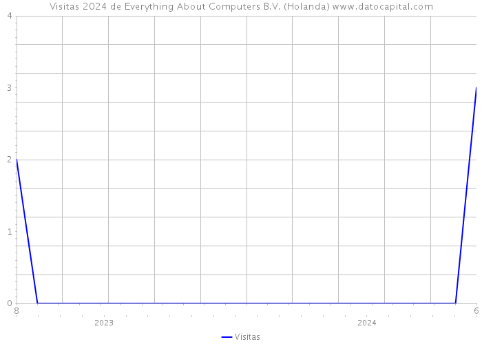 Visitas 2024 de Everything About Computers B.V. (Holanda) 