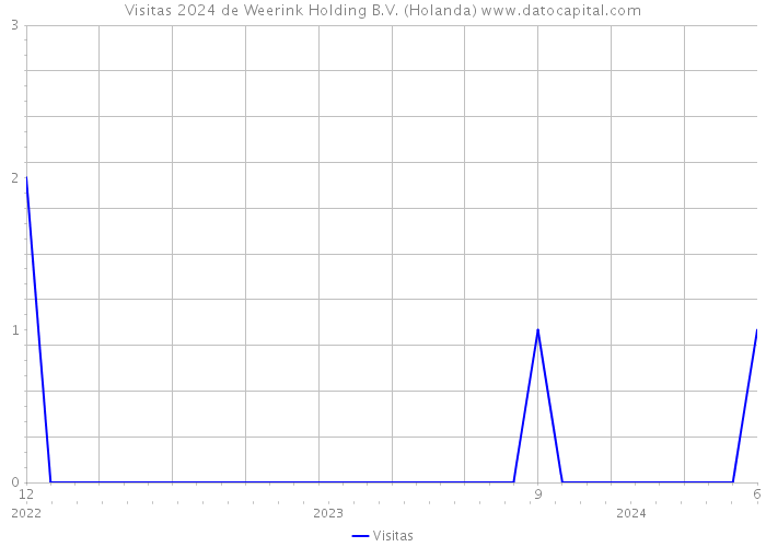 Visitas 2024 de Weerink Holding B.V. (Holanda) 