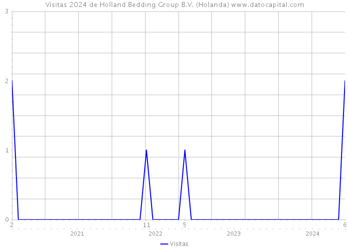 Visitas 2024 de Holland Bedding Group B.V. (Holanda) 