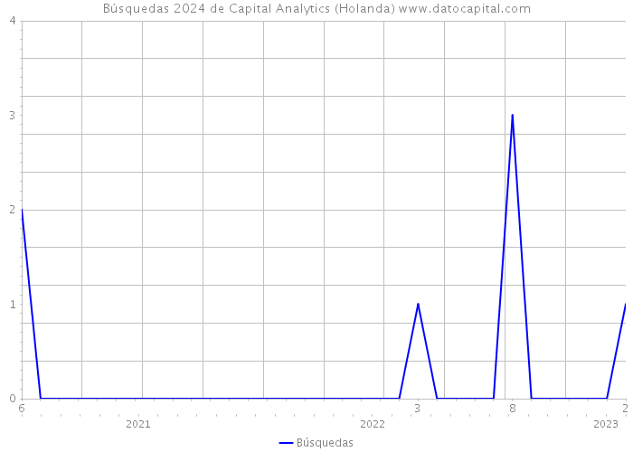 Búsquedas 2024 de Capital Analytics (Holanda) 