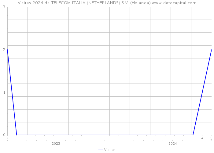 Visitas 2024 de TELECOM ITALIA (NETHERLANDS) B.V. (Holanda) 