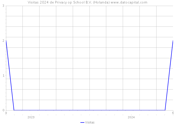 Visitas 2024 de Privacy op School B.V. (Holanda) 