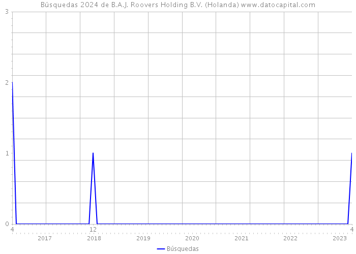 Búsquedas 2024 de B.A.J. Roovers Holding B.V. (Holanda) 