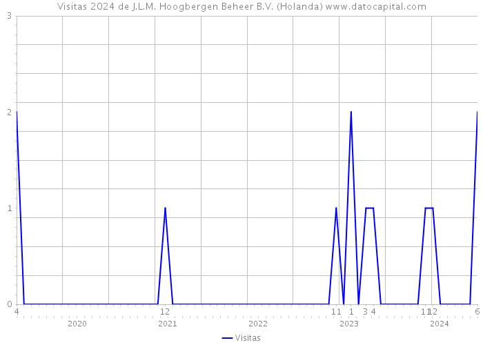 Visitas 2024 de J.L.M. Hoogbergen Beheer B.V. (Holanda) 