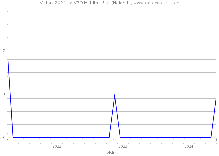 Visitas 2024 de VRO Holding B.V. (Holanda) 