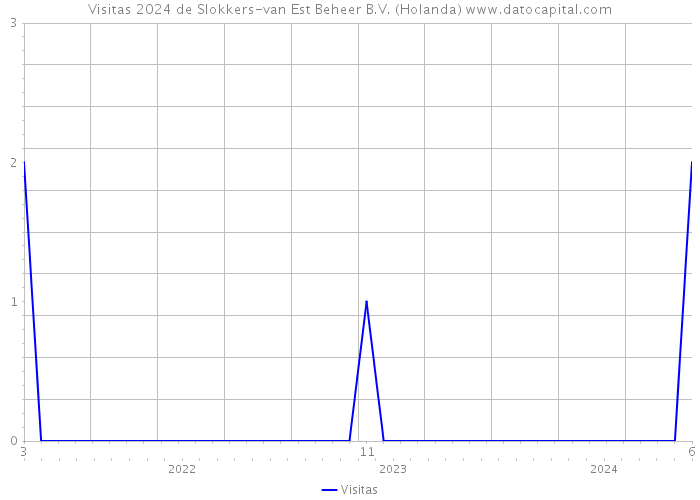 Visitas 2024 de Slokkers-van Est Beheer B.V. (Holanda) 