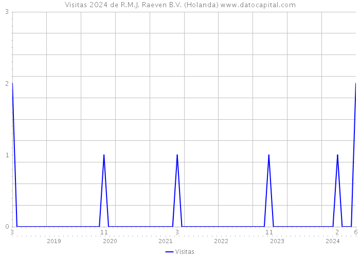 Visitas 2024 de R.M.J. Raeven B.V. (Holanda) 