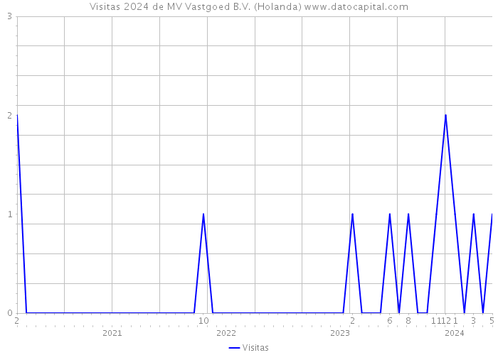 Visitas 2024 de MV Vastgoed B.V. (Holanda) 