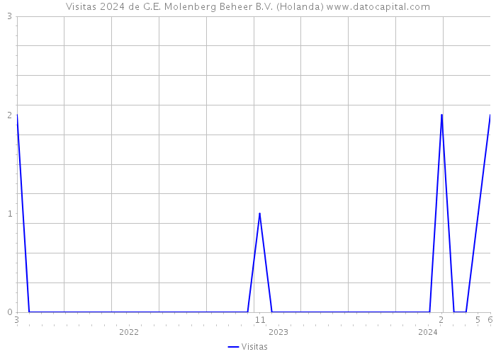 Visitas 2024 de G.E. Molenberg Beheer B.V. (Holanda) 